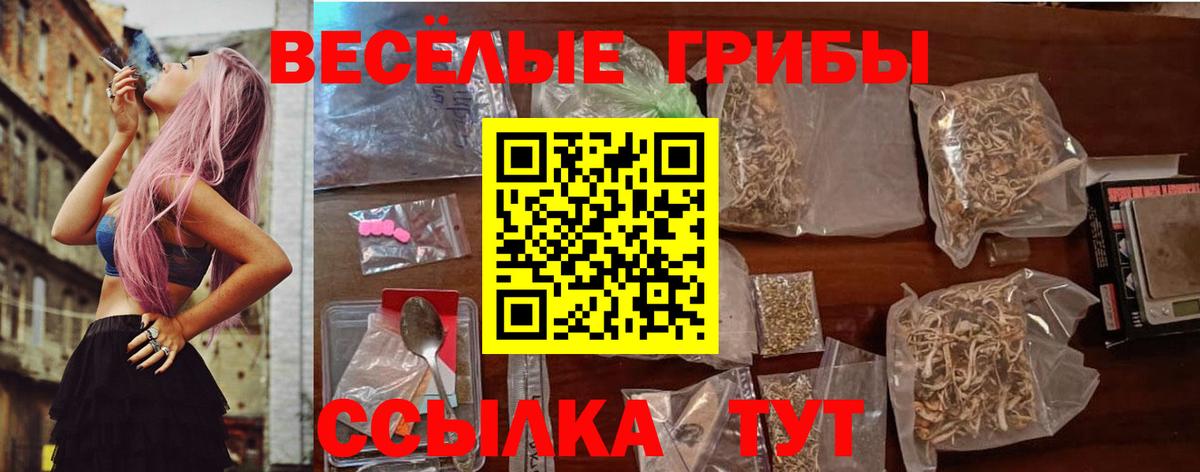 Псилоцибиновые грибы мухоморы Новоалтайск