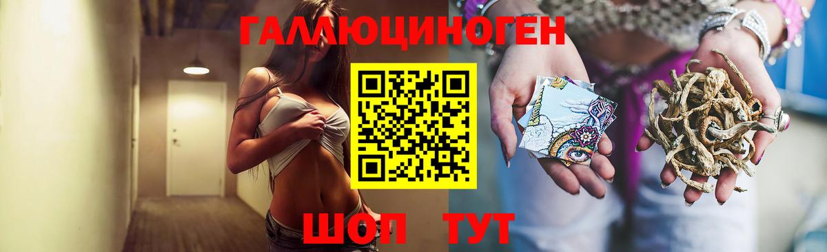 Псилоцибиновые грибы Psilocybe  Вход с VPN  Новоалтайск 